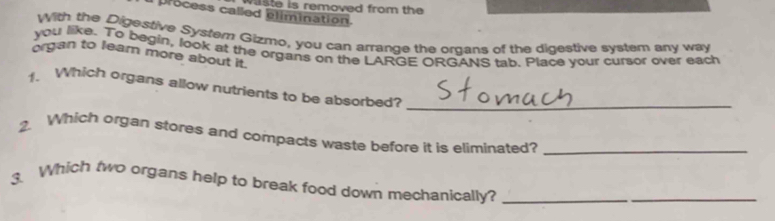 vaste is removed from the 
process called elimination. 
With the Digestive Systern Gizmo, you can arrange the organs of the digestive system any way 
you like. To begin, look at the organs on the LARGE ORGANS tab. Place your cursor over each 
organ to learn more about it. 
1. Which organs allow nutrients to be absorbed?_ 
2. Which organ stores and compacts waste before it is eliminated?_ 
3. Which two organs help to break food down mechanically?_