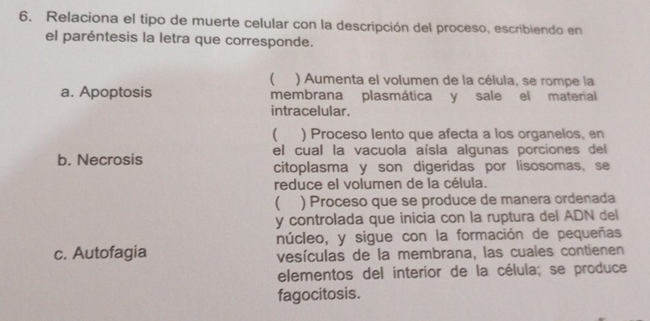 Relaciona el tipo de muerte celular con la descripción del proceso, escribiendo en
el paréntesis la letra que corresponde.
 ) Aumenta el volumen de la célula, se rompe la
a. Apoptosis membrana plasmática y sale el material
intracelular.
( ) Proceso lento que afecta a los organelos, en
el cual la vacuola aísla algunas porciones del
b. Necrosis
citoplasma y son digeridas por lisosomas, se
reduce el volumen de la célula.
 ) Proceso que se produce de manera ordenada
y controlada que inicia con la ruptura del ADN del
núcleo, y sigue con la formación de pequeñas
c. Autofagia
vesículas de la membrana, las cuales contienen
elementos del interior de la célula; se produce
fagocitosis.