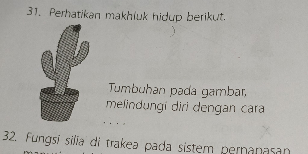 Perhatikan makhluk hidup berikut. 
Tumbuhan pada gambar, 
melindungi diri dengan cara 
32. Fungsi silia di trakea pada sistem pernapasan