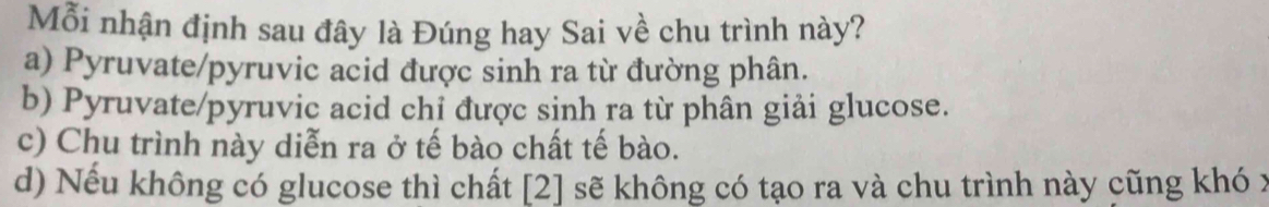 Mỗi nhận định sau đây là Đúng hay Sai về chu trình này?
a) Pyruvate/pyruvic acid được sinh ra từ đường phân.
b) Pyruvate/pyruvic acid chỉ được sinh ra từ phân giải glucose.
c) Chu trình này diễn ra ở tế bào chất tế bào.
d) Nếu không có glucose thì chất [2] sẽ không có tạo ra và chu trình này cũng khó x