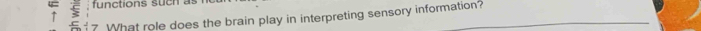 fu nctions su c n 
7 What role does the brain play in interpreting sensory information?