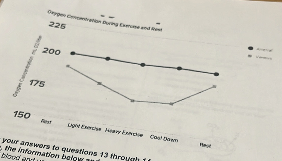 Oxygen Concentration During Exercise and Rest
225
200
Arterial 
Venous
175
150 Rest 
Light Exercise Heavy Exercise Cool Down 
Rest 
your answers to questions 13 through 1 
, the information b elow 
blood and