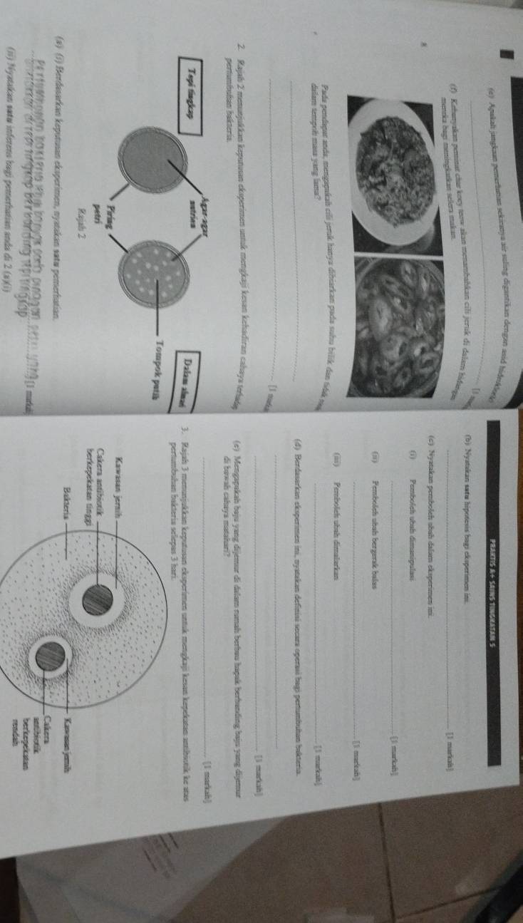 Agakal jangkam pemertanan sekinanya air suling digantikan dengan asid hidmkleki
PRAKTIS a+ SaiNS TINGKATAN S
[ m
(f) Kehanyakan pemisat chur kney teow skan menambahkan cili jeruk di dalam hidange (b) Nystakan satu hipotesis bags eksperimen ins.
rkan selera makan.
_[1 markah]
(c) Nyatakan pemboleh sbuh dalam eksperimen ini.
(i) Pembolch ubah dimanipulasi.
_[l markah]
(ii) Pembolch shah bergerak balas
_[1 markah]
(iii) Pemboleh ubah dimalarkan
Pada pendagur anda, mengapukab cili jeuk hanya dibiarkan pada suha bilik das tdá ná
dalam tempol masa yang lana? _[1 muskah]
_
(d) Berdasarkan eksperimen ini, nyatakan definisi secara operasi bagi pertumbuhan hakteria.
_
_
[ mds
_[l markah]
2. Rajah 2 menunjukkan kepunosan eksperimen untuk mengkaji kesan kehadiran cahays torhuda (c) Mengapakah baju yang dijemur di dalam rumah berbau haçak berhanding baju yang dijemur
pertumbulan bakteria. di bowah cahays matahari?
_[1 markah]
. Rajah 3 menunjukkan keputusan eksperimen untuk mengkaji kesan kepekatan antibiotik ke stas
(a) (1) Berdasarkan keputusan eksperimen, nyatakan satu pemerhatian.
Pe rt rasón co cin n    
Si rokgn Bi trpi tngkập ber bandug
(ii) Nyatakan sætu inferens bagi pemerhatian anda di 2 (a)(i)