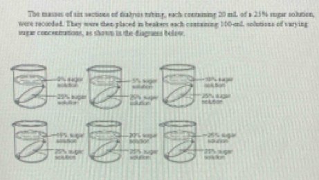 The masses of six sectioes of diabres eting, each contaming 20 mil of a 25% sugar solution.
were recooded. They were then placed in beakers each comaiting 100-mnl. solutions of varying
sugar concenrations, as showm is the-fiagness below.