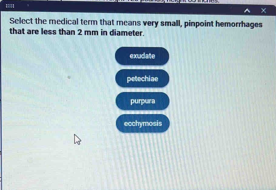 ones.
X
Select the medical term that means very small, pinpoint hemorrhages
that are less than 2 mm in diameter.
exudate
petechiae
purpura
ecchymosis