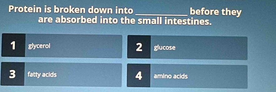 Protein is broken down into_ before they
are absorbed into the small intestines.
1 glycerol 2 glucose
4
3 fatty acids amino acids