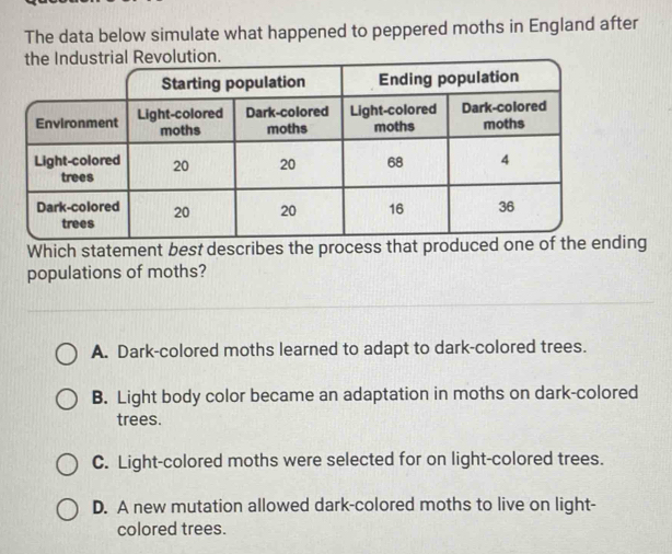 The data below simulate what happened to peppered moths in England after
Which statement best describes the png
populations of moths?
A. Dark-colored moths learned to adapt to dark-colored trees.
B. Light body color became an adaptation in moths on dark-colored
trees.
C. Light-colored moths were selected for on light-colored trees.
D. A new mutation allowed dark-colored moths to live on light-
colored trees.