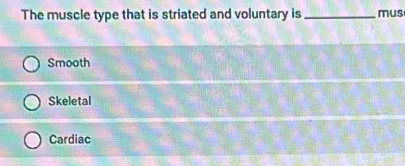 The muscle type that is striated and voluntary is_ mus
Smooth
Skeletal
Cardiac