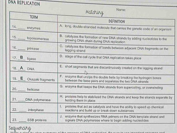 DNA REPLICATION 
m 
y 
Sequencih