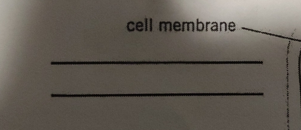 cell membrane 
_ 
_ 
_ 
_