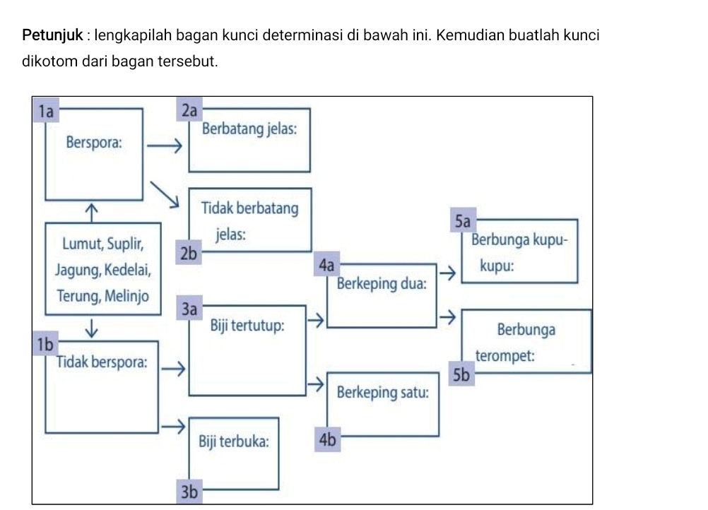 Petunjuk : lengkapilah bagan kunci determinasi di bawah ini. Kemudian buatlah kunci 
dikotom dari bagan tersebut.
3b