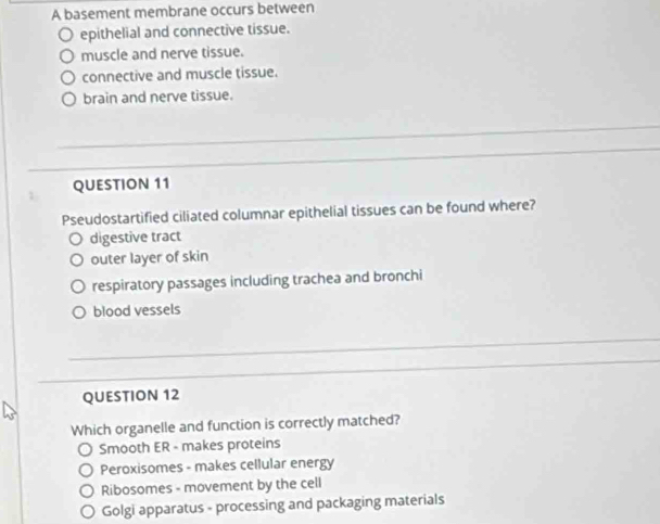 A basement membrane occurs between
epithelial and connective tissue.
muscle and nerve tissue.
connective and muscle tissue.
brain and nerve tissue.
QUESTION 11
Pseudostartified ciliated columnar epithelial tissues can be found where?
digestive tract
outer layer of skin
respiratory passages including trachea and bronchi
blood vessels
QUESTION 12
Which organelle and function is correctly matched?
Smooth ER - makes proteins
Peroxisomes - makes cellular energy
Ribosomes - movement by the cell
Golgi apparatus - processing and packaging materials