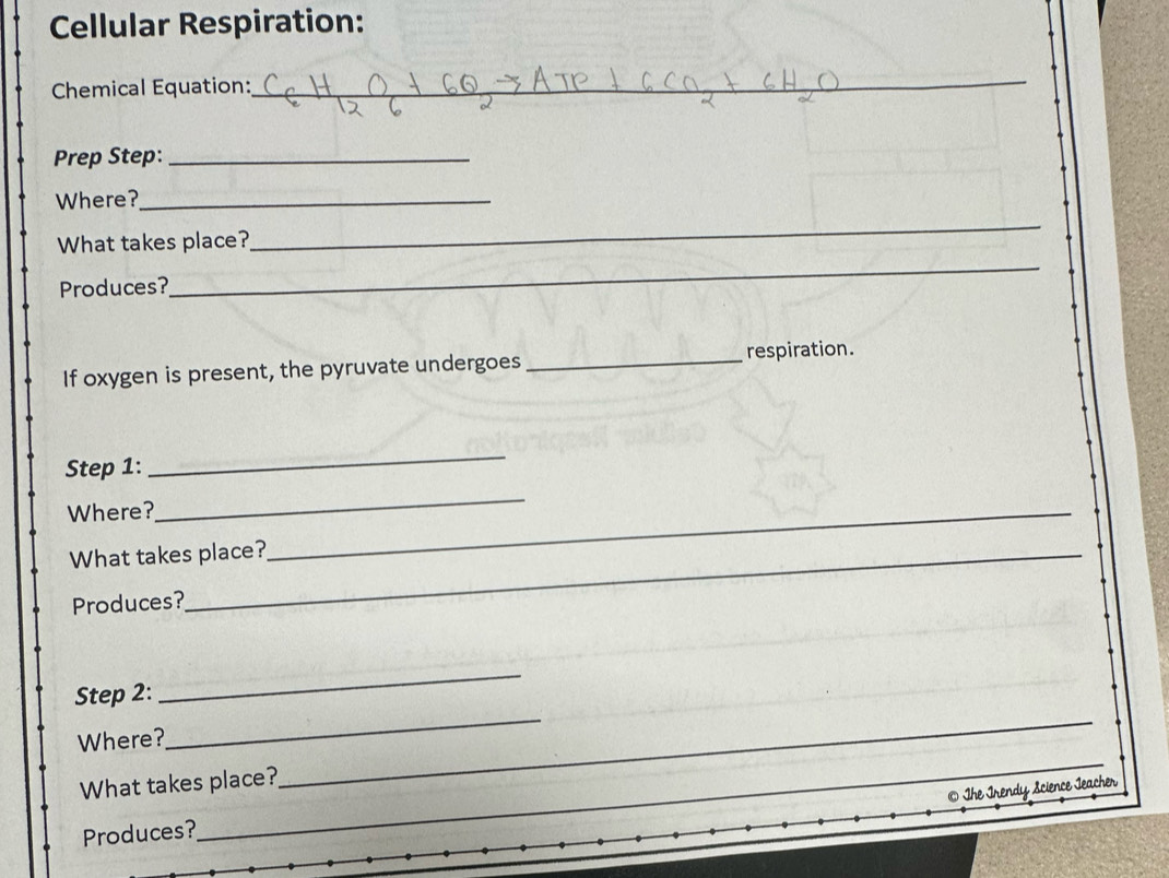 Cellular Respiration: 
Chemical Equation: 
_ 
Prep Step:_ 
_ 
Where?_ 
What takes place? 
Produces? 
_ 
_respiration. 
If oxygen is present, the pyruvate undergoes 
Step 1: 
_ 
Where? 
_ 
What takes place? 
_ 
Produces? 
Step 2: 
_ 
_ 
Where? 
_ 
What takes place? 
_ 
_© The Irendy Science Jeacher 
Produces?