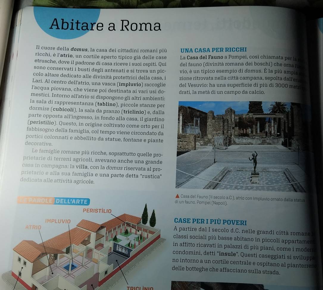 Abitare a Roma
Il cuore della domus, la casa dei cittadini romani più UNA CASA PER RICCHI
ricchi, è l'atrio, un cortile aperto tipico già delle case La Casa del Fauno a Pompei, così chiamata per la
etrusche, dove il padrone di casa riceve i suoi ospiti. Qui del fauno (divinità romana dei boschi) che orna li
sono conservati i busti degli antenati e si trova un pic- vio, è un tipico esempio di domus. È la più ampia
colo altare dedicato alle divinità protettrici della casa, i zione ritrovata nella città campana, sepolta dall'er
Lari. Al centro dell’atrio, una vasca (impluvio) raccoglie del Vesuvio: ha una superficie di più di 3000 metr
l'acqua piovana, che viene poi destinata ai vari usi do- drati, la metà di un campo da calcio.
mestici. Intorno all'atrio si dispongono gli altri ambienti:
la sala di rappresentanza (tablino), piccole stanze per
dormire (cubicoli), la sala da pranzo (triclìnio) e, dalla
parte opposta all’ingresso, in fondo alla casa, il giardino
(peristìlio). Questo, in origine coltivato come orto per il
fabbisogno della famiglia, col tempo viene circondato da
portici colonnati e abbellito da statue, fontane e piante
decorative.
Le famiglie romane più ricche, soprattutto quelle pro-
prietarie di terreni agricoli, avevano anche una grande
casa in campagna: la villa, con la domus riservata al pro-
prietario e alla sua famiglia e una parte detta “rustica”
dedicata alle attività agricole.
a del Fauno (II secolo a.C.), atrio con impluvio omato dalla statua
auno. Pompei (Napoli).
E PER I PIÜ POVERI
tire dal I secolo d.C. nelle grandi città romane l
i sociali più basse abitano in piccoli appartamen
itto ricavati in palazzi di più piani, come i modem
omini, detti “insule”. Questi caseggiati si sviluppa
orno a un cortile centrale e ospitano al pianterren.
botteghe che affacciano sulla strada.