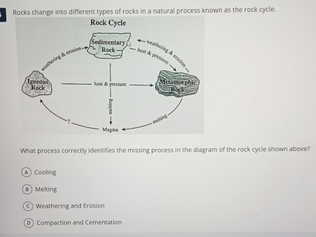 Rocks change into different types of rocks in a natural process known as the rock cycle.
What process correctly identifies the missing process in the diagram of the rock cycle shown above?
A Cooling
B Melting
Weathering and Erosion
D Compaction and Cementation