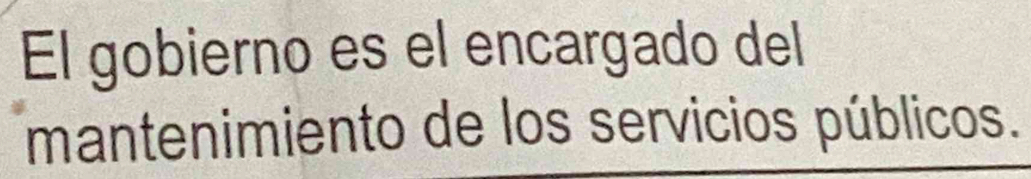 El gobierno es el encargado del 
mantenimiento de los servicios públicos.