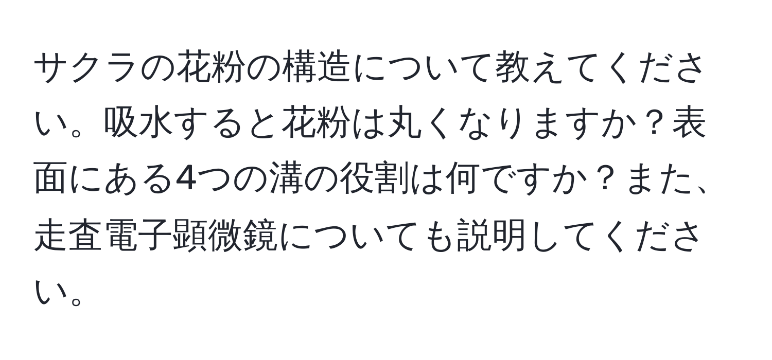 サクラの花粉の構造について教えてください。吸水すると花粉は丸くなりますか？表面にある4つの溝の役割は何ですか？また、走査電子顕微鏡についても説明してください。