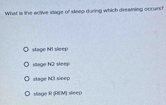 What is the active stage of sleep during which dreaming occurs?
stage N1 sleep
stage N2 sleep
stage N3 sleep
stage R (REM) sleep