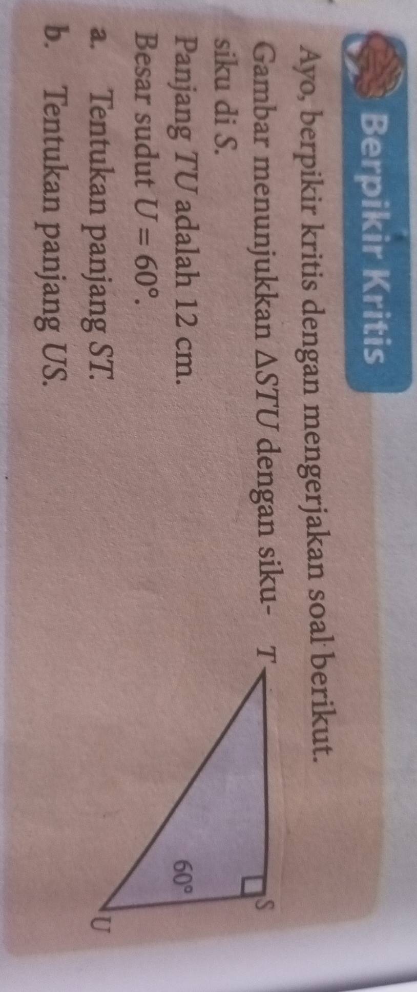 Berpikir Kritis
Ayo, berpikir kritis dengan mengerjakan soal berikut.
Gambar menunjukkan △ STU dengan siku-
siku di S.
Panjang TU adalah 12 cm. 
Besar sudut U=60°.
a. Tentukan panjang ST.
b. Tentukan panjang US.