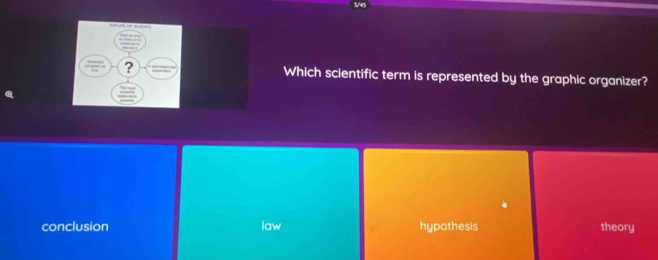 Which scientific term is represented by the graphic organizer?
conclusion law hypothesis theory