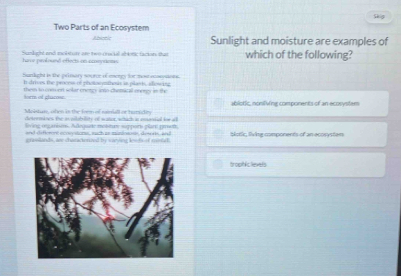 Skip
Two Parts of an Ecosystem
Abiotic Sunlight and moisture are examples of
Sunlight and moisture are two cracial abintic factors that
have profound effects on ecosystems. which of the following?
Sunlight is the primary source of enorgy for most ecanstems
It drives the process of photosynthesis in plants, allowing
them to convert solar energy into chemical enorgy in the
form of ghacose.
abliotic, noniving components of an ecosystem
Moisture, often in the form of rainiall or humidity
determines the availability of water, which is essential for all
living organisms. Adequate moisture supports plant gowt
and difeent ecosystems, such as raminusas, desrs, and biotic living components of an ecosystem
grasslands, are characterized by varving lesrls of mmall
trophiclevels