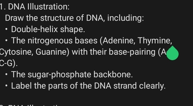 DNA Illustration: 
Draw the structure of DNA, including: 
Double-helix shape. 
The nitrogenous bases (Adenine, Thymine, 
Cytosine, Guanine) with their base-pairing (A 
C-G). 
The sugar-phosphate backbone. 
Label the parts of the DNA strand clearly.