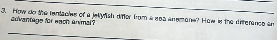 How do the tentacles of a jellyfish differ from a sea anemone? How is the difference an 
advantage for each animal? 
_