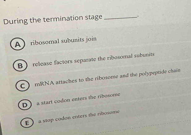 During the termination stage_
.
A ribosomal subunits join
B release factors separate the ribosomal subunits
C  mRNA attaches to the ribosome and the polypeptide chain
D a start codon enters the ribosome
E  a stop codon enters the ribosome