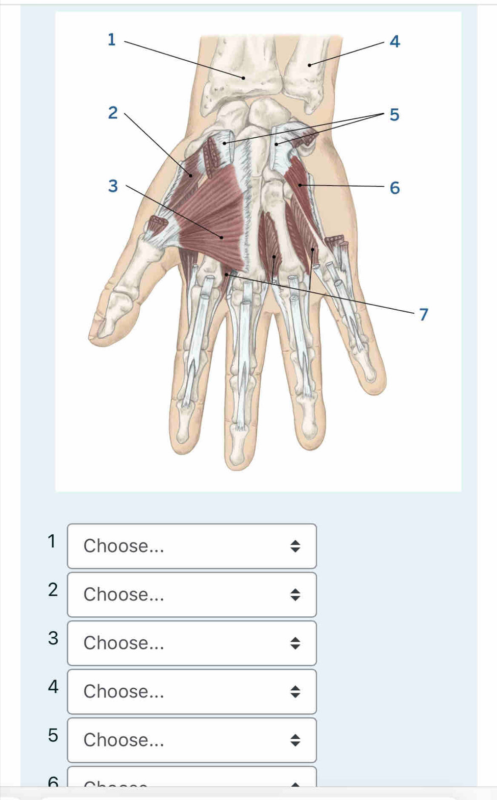 Choose... 
2 Choose... 
3 Choose... 
4 Choose... 
5 Choose... 
6