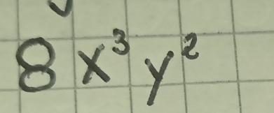 8x^3y^2