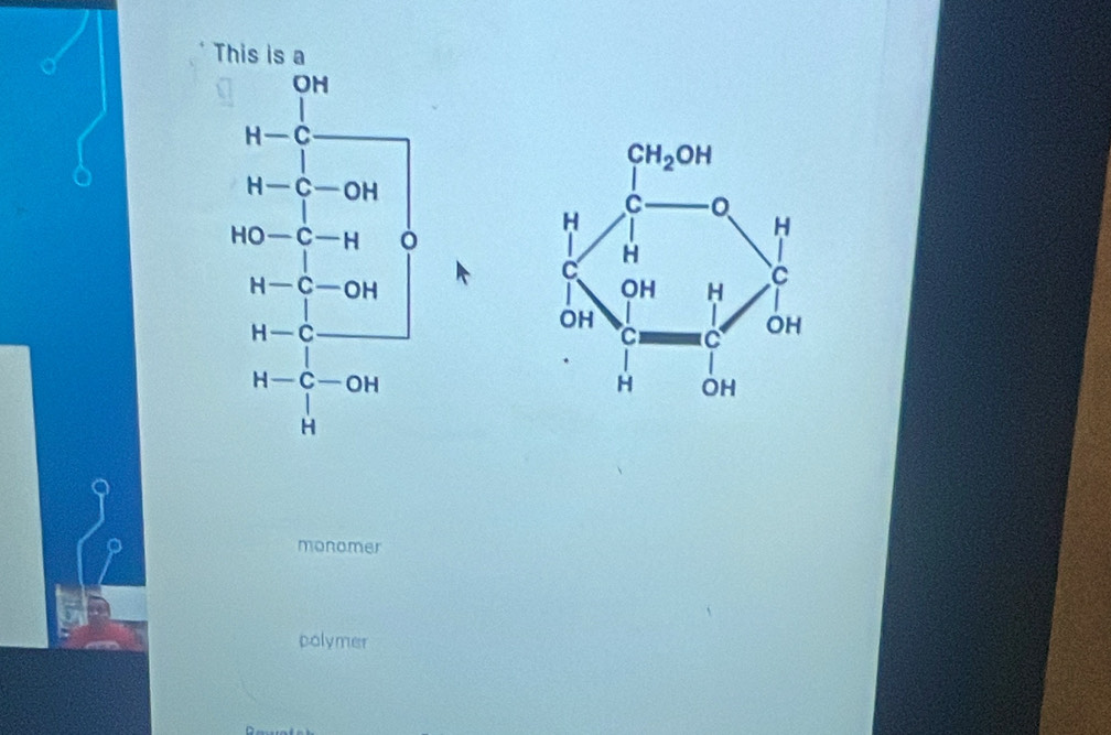 This is a
monomer
polymer