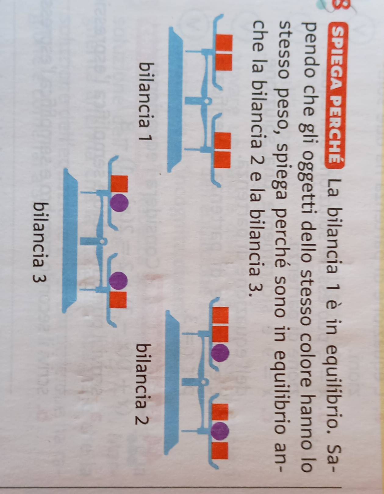 sPIEGA PERcHé La bilancia 1 è in equilibrio. Sa-
pendo che gli oggetti dello stesso colore hanno lo
stesso peso, spiega perché sono in equilibrio an-
che la bilancia 2 e la bilancia 3.
bilancia 1 bilancia 2
bilancia 3