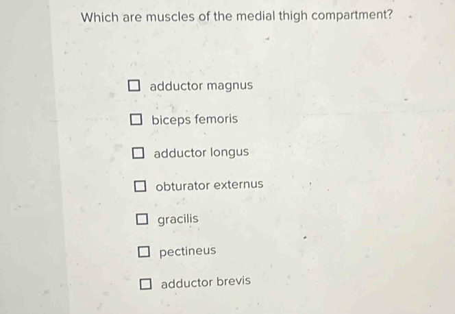 Which are muscles of the medial thigh compartment?
adductor magnus
biceps femoris
adductor longus
obturator externus
gracilis
pectineus
adductor brevis