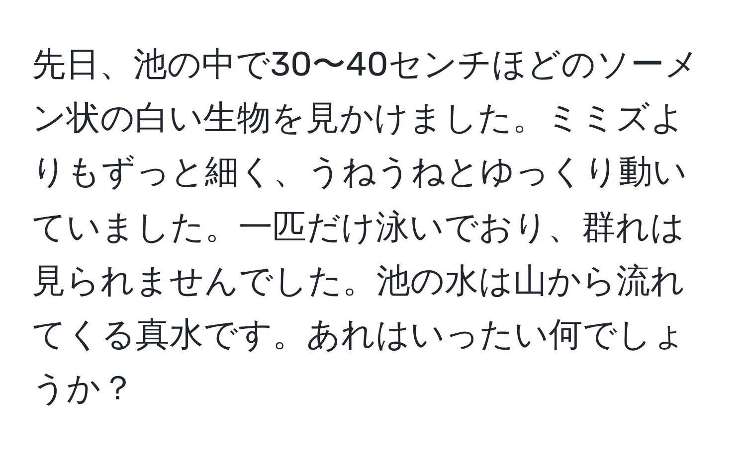 先日、池の中で30〜40センチほどのソーメン状の白い生物を見かけました。ミミズよりもずっと細く、うねうねとゆっくり動いていました。一匹だけ泳いでおり、群れは見られませんでした。池の水は山から流れてくる真水です。あれはいったい何でしょうか？