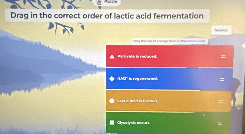 Puzzle 
Drag in the correct order of lactic acid fermentation 
Submit 
Drag the tiles to anange them in the correst orde 
Pyruvate is reduced. = 
NAD^+ is regenerated. = 
Lactic acid is formed 
Glycolysis occurs =