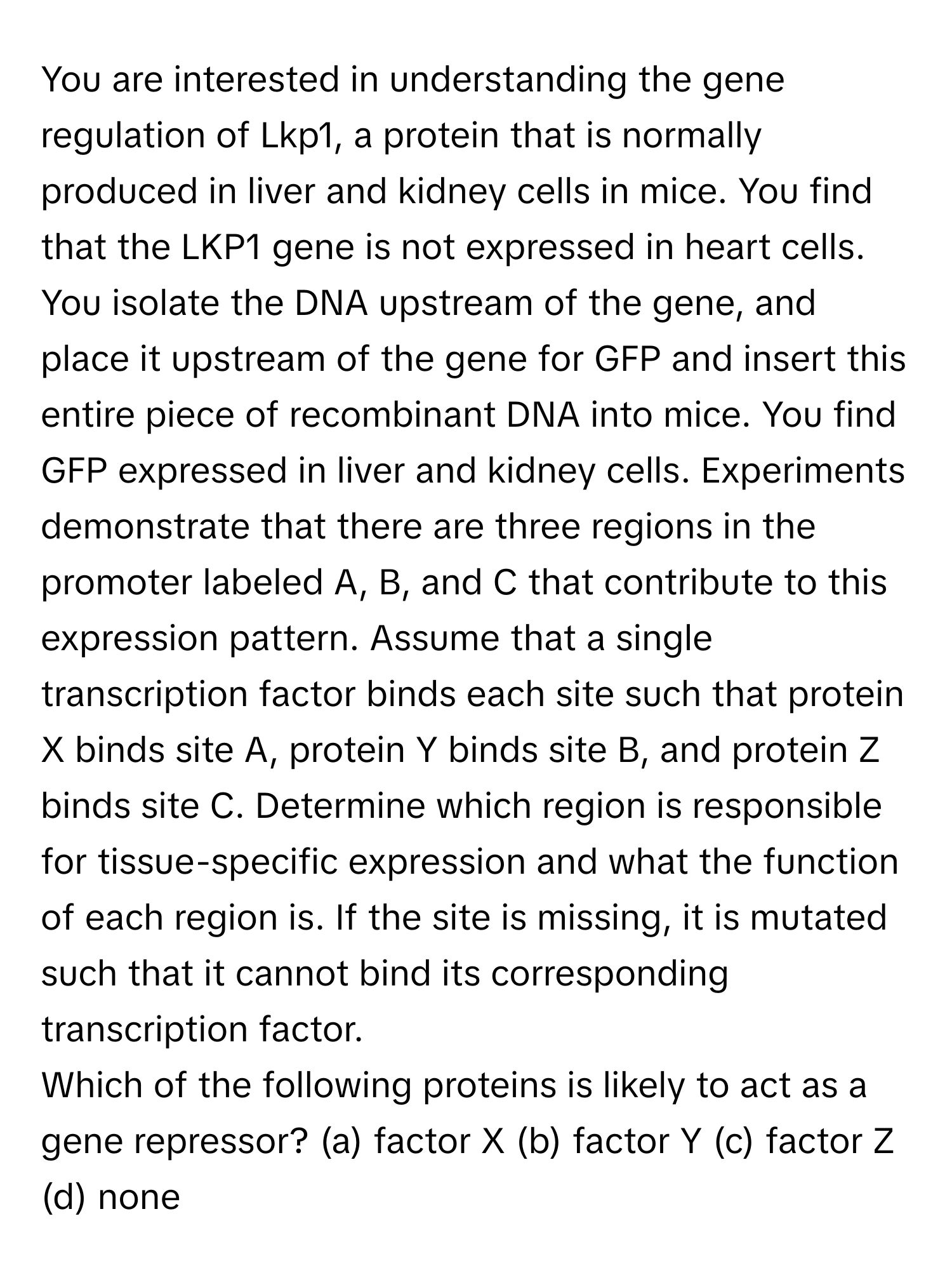 You are interested in understanding the gene regulation of Lkp1, a protein that is normally produced in liver and kidney cells in mice. You find that the LKP1 gene is not expressed in heart cells. You isolate the DNA upstream of the gene, and place it upstream of the gene for GFP and insert this entire piece of recombinant DNA into mice. You find GFP expressed in liver and kidney cells. Experiments demonstrate that there are three regions in the promoter labeled A, B, and C that contribute to this expression pattern. Assume that a single transcription factor binds each site such that protein X binds site A, protein Y binds site B, and protein Z binds site C. Determine which region is responsible for tissue-specific expression and what the function of each region is. If the site is missing, it is mutated such that it cannot bind its corresponding transcription factor.

Which of the following proteins is likely to act as a gene repressor? (a) factor X (b) factor Y (c) factor Z (d) none