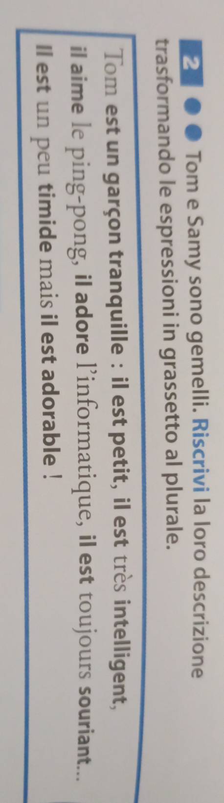 Tom e Samy sono gemelli. Riscrivi la loro descrizione 
trasformando le espressioni in grassetto al plurale. 
Tom est un garçon tranquille : il est petit, il est très intelligent, 
il aime le ping-pong, iI adore l’informatique, il est toujours souriant... 
ll est un peu timide mais il est adorable !
