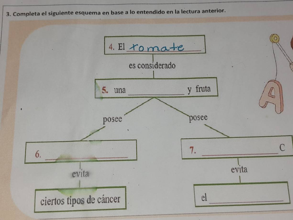 Completa el siguiente esquema en base a lo entendido en la lectura anterior. 
ciertos tipos de cáncer 
el_