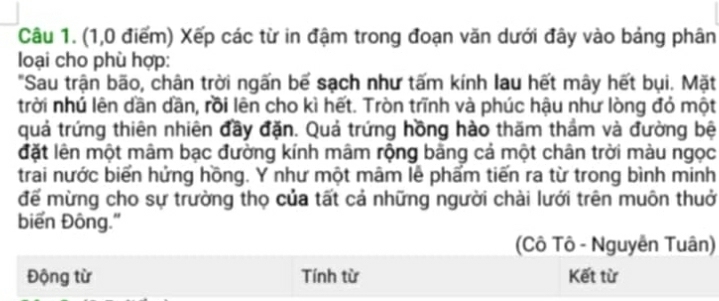 (1,0 điểm) Xếp các từ in đậm trong đoạn văn dưới đây vào bảng phân 
loại cho phù hợp: 
"Sau trận bão, chân trời ngấn bế sạch như tấm kính lau hết mây hết bụi. Mặt 
trời nhú lên dần dần, rồi lên cho kì hết. Tròn trĩnh và phúc hậu như lòng đỏ một 
quả trứng thiên nhiên đầy đặn. Quả trứng hồng hào thăm thầm và đường bệ 
đặt lên một mâm bạc đường kính mâm rộng bằng cả một chân trời màu ngọc 
trai nước biển hứng hồng. Y như một mâm lễ phẩm tiến ra từ trong bình minh 
để mừng cho sự trường thọ của tất cả những người chài lưới trên muôn thuở 
biến Đông." 
(Cô Tô - Nguyễn Tuân) 
Động từ Tính từ Kết từ