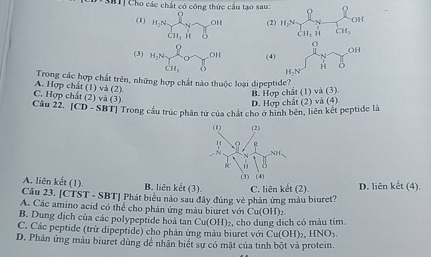 |OD| Cho các chất có công thức cấu tạo sau:
(1) H_2N^-N
OH (2
CH_3 H
O
(3) H_2N OH
(4)
CH_3
Trong các hợp chất trên, những hợp chất nào thuộc loại dipeptide?
A. Hợp chất (1) và (2).
B. Hợp chất (1) và (3).
C. Hợp chất (2) và (3).
D. Hợp chất (2) và (4).
Câu 22. [CD - SBT] Trong cấu trúc phân tử của chất cho ở hình bên, liên kết peptide là
A. liên kết (1). B. liên kết (3).
C. liên kết (2).
D. liên kết (4).
Câu 23. [CTST - SBT] Phát biều nào sau đây đúng vè phản ứng màu biuret?
A. Các amino acid có thể cho phản ứng màu biuret với Cu(OH)_2.
B. Dung dịch cùa các polypeptide hoà tan Cu(OH) 2, cho dung dich có màu tím.
C. Các peptide (trừ dipeptide) cho phản ứng màu biuret với Cu(OH)_2,HNO_3.
D. Phản ứng màu biuret dùng dể nhận biết sự có mặt của tinh bột và protein.