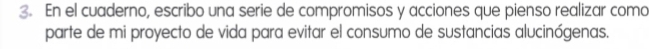 En el cuaderno, escribo una serie de compromisos y acciones que pienso realizar como 
parte de mi proyecto de vida para evitar el consumo de sustancias alucinógenas.