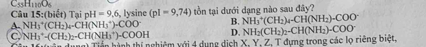 C_55H_110O_6
Câu 15:(biết) Tại pH =9,6 , ly sine (pI=9,74) tồn tại dưới dạng nào sau đây?
A. NH_3^(+(CH_2))_4-CH(NH_3^(+)-COO^-)
B. NH_3^(+(CH_2))_4-CH(NH_2)-COO^-
C NH_3^(+-(CH_2))_2-CH(NH_3^(+)-COOH
D.
Tng) Tiến hành thí nghiêm với 4 dụng dịch X. Y. Z. T đựng trong các lọ riêng biệt, NH_2)(CH_2)_2-CH(NH_2)-COO^-