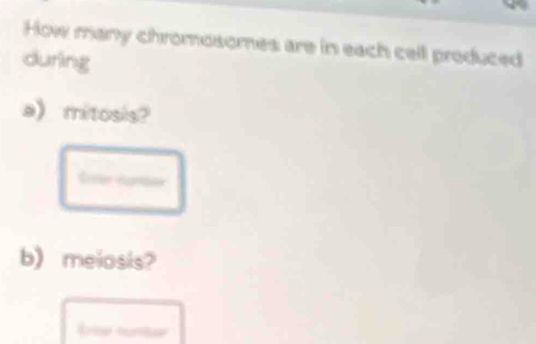 How many chromosomes are in each cell produced 
during 
a) mitosis? 
b) meiosis? 
frise turter