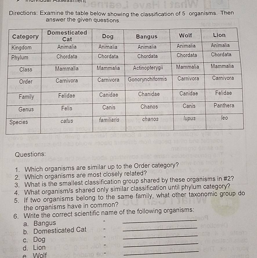 essmen 
Directions: Examine the table below showing the classification of 5 organisms. Then 
answer the given questions. 
Questions: 
1. Which organisms are similar up to the Order category? 
2. Which organisms are most closely related? 
3. What is the smallest classification group shared by these organisms in # 2? 
4. What organism/s shared only similar classification until phylum category? 
5. If two organisms belong to the same family, what other taxonomic group do 
the organisms have in common? 
_ 
6. Write the correct scientific name of the following organisms: 
a. Bangus 
b. Domesticated Cat - 
_ 
c. Dog 
- 
_ 
_ 
d. Lion 
- 
_ 
e Wolf