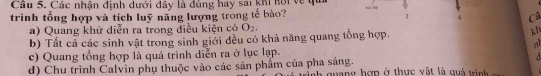 Cầu 5. Các nhận định dưới đây là đúng hay sai khi hội về qui T oc lap
trình tổng hợp và tích luỹ năng lượng trong tế bào?
2 4
Câ
a) Quang khử diễn ra trong điều kiện có O_2.
b) Tất cả các sinh vật trong sinh giới đều có khả năng quang tổng hợp. kh
n
c) Quang tổng hợp là quá trình diễn ra ở lục lạp.
d) Chu trình Calvin phụ thuộc vào các sản phẩm của pha sáng. a
nh quang hợp ở thực vật là quá trình cu