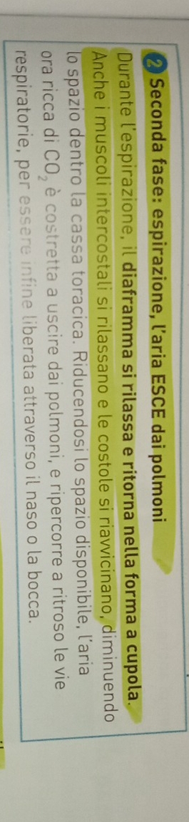 Seconda fase: espirazione, l’aria ESCE dai polmoni 
Durante l'espirazione, il diaframma si rilassa e ritorna nella forma a cupola. 
Anche i muscoli intercostali si rilassano e le costole si riawvicinano, diminuendo 
lo spazio dentro la cassa toracica. Riducendosi lo spazio disponibile, laria 
ora ricca di CO_2 è costretta a uscire dai polmoni, e ripercorre a ritroso le vie 
respiratorie, per essere infine liberata attraverso il naso o la bocca.