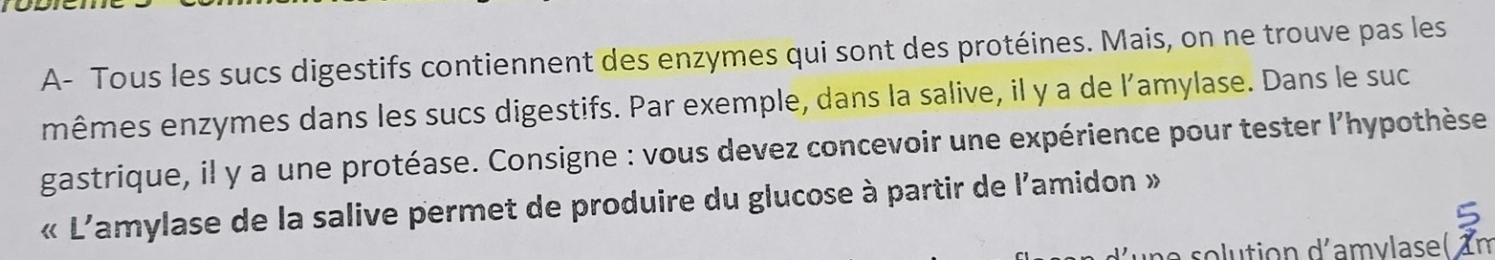 A- Tous les sucs digestifs contiennent des enzymes qui sont des protéines. Mais, on ne trouve pas les 
mêmes enzymes dans les sucs digestifs. Par exemple, dans la salive, il y a de l'amylase. Dans le suc 
gastrique, il y a une protéase. Consigne : vous devez concevoir une expérience pour tester l'hypothèse 
« L'amylase de la salive permet de produire du glucose à partir de l'amidon » 
le solution d'amvlase lin