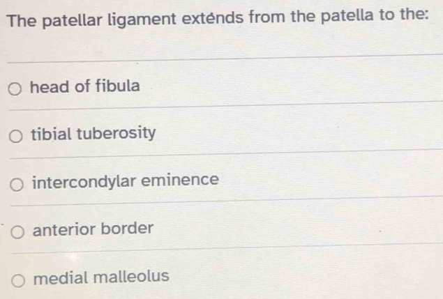 The patellar ligament exténds from the patella to the:
head of fibula
tibial tuberosity
intercondylar eminence
anterior border
medial malleolus