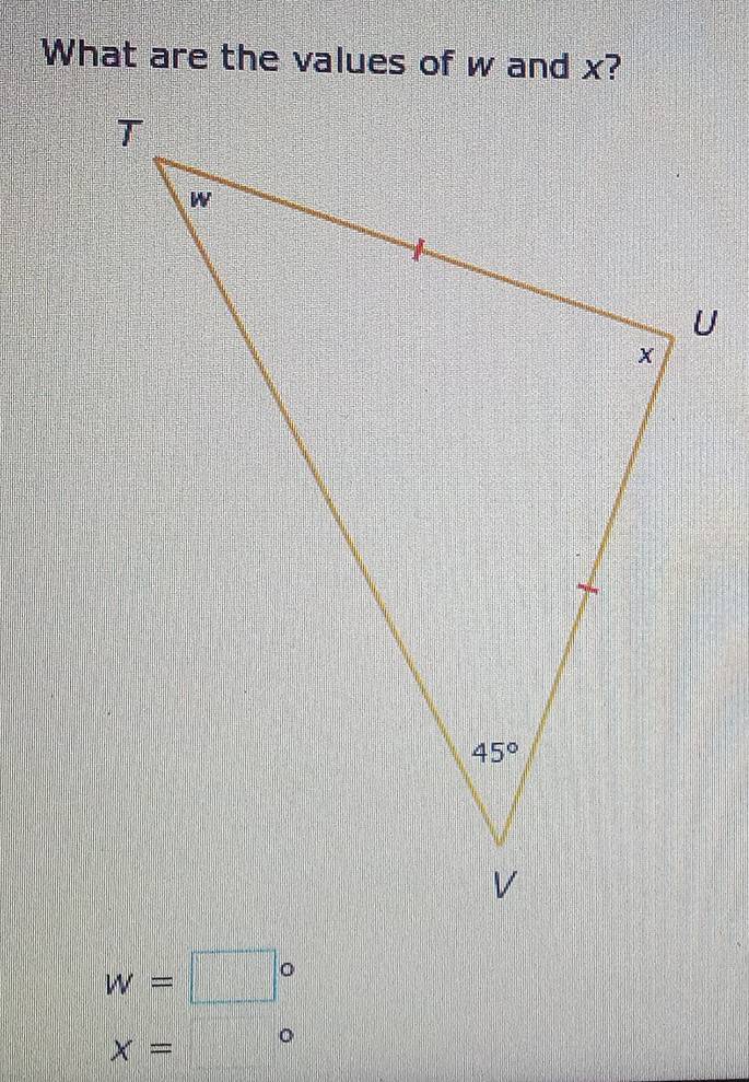 What are the values of w and x?
w=□°
x=□°