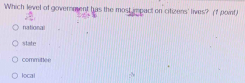 Which level of government has the most impact on citizens' lives? (1 point)
national
state
committee
local